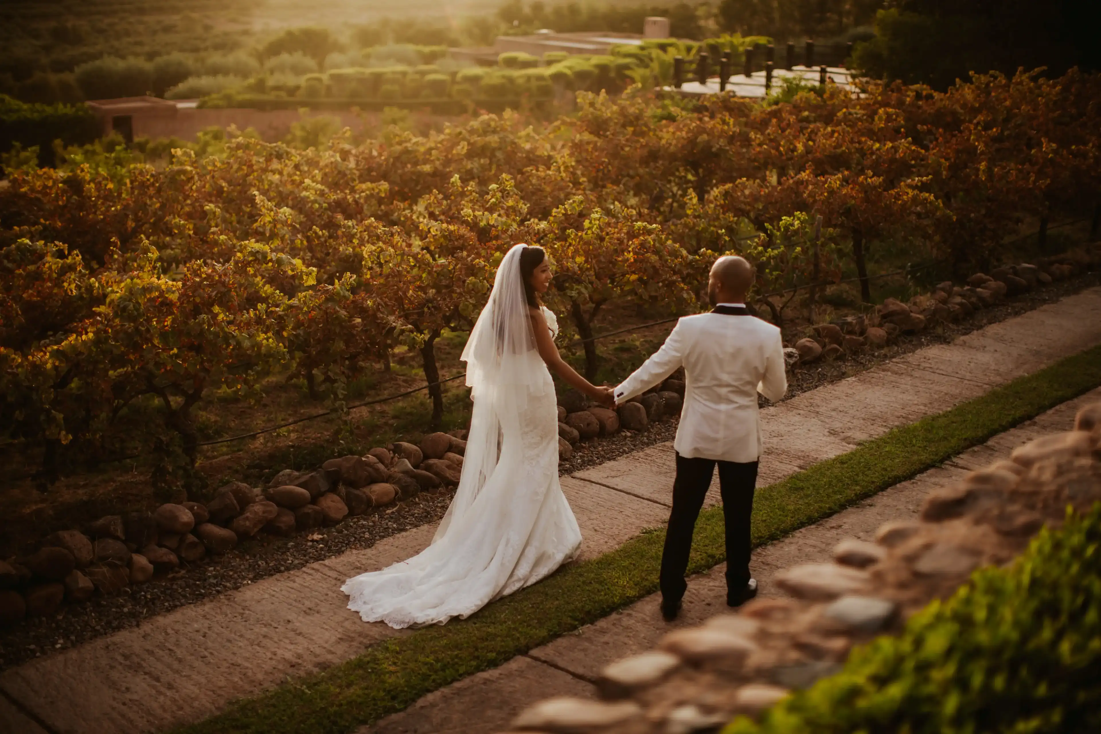Couple holding hands in a vineyard near Marrakech, during elopement